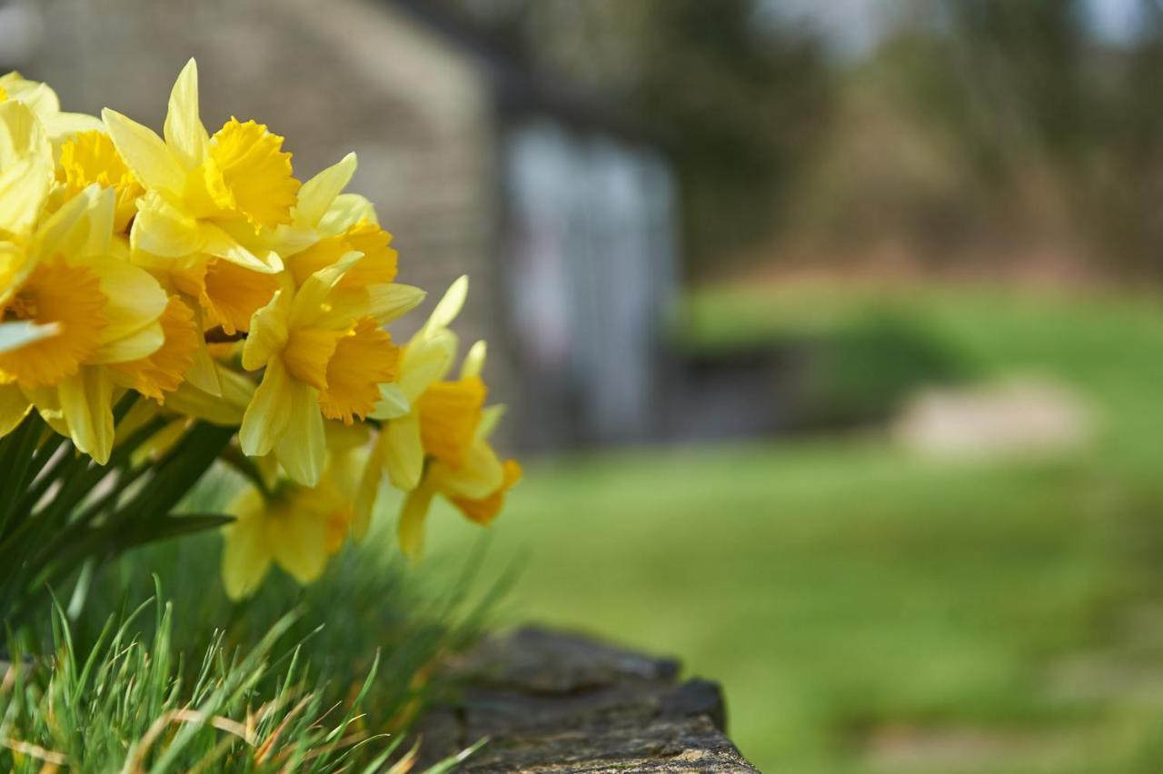 Penuwch Boathouse- Lakeside Rural Cottage Ideal For Families With Indoor Heated Pool Carmarthen Luaran gambar